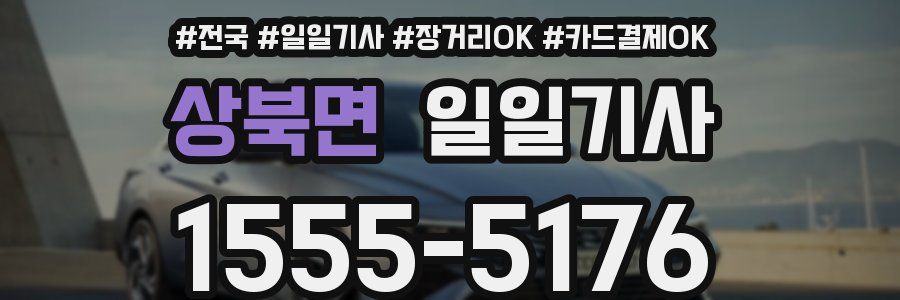 상북면 일일기사