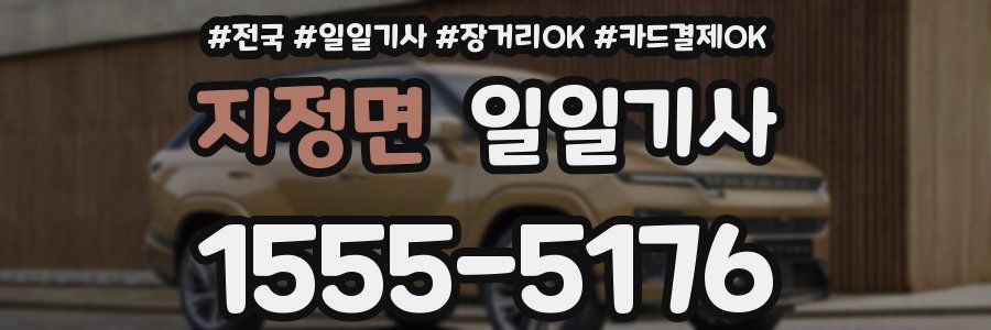 지정면 일일기사