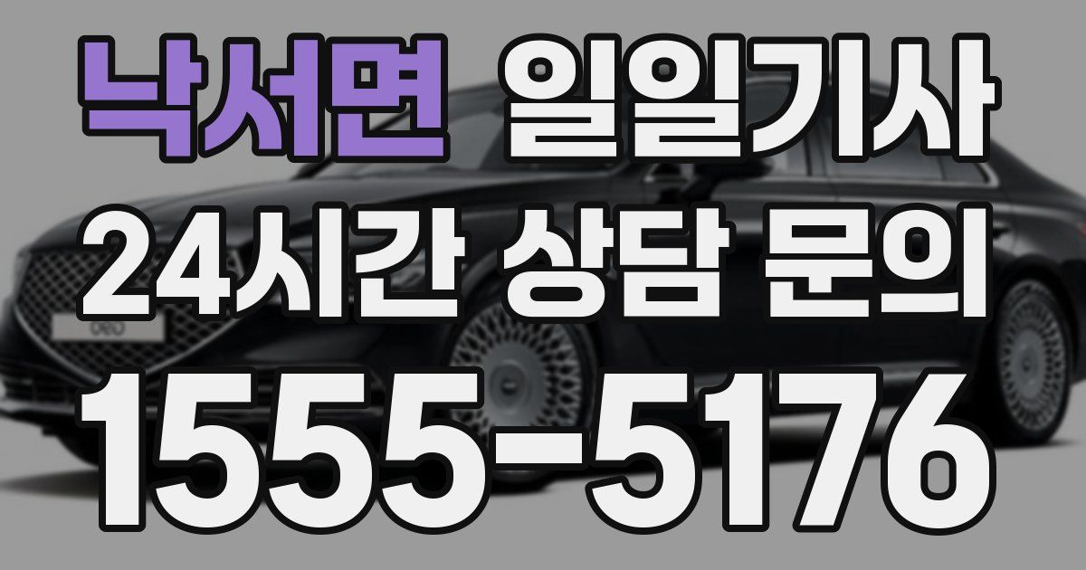 일일대리기사