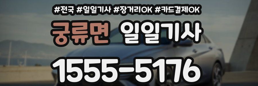 궁류면 일일기사