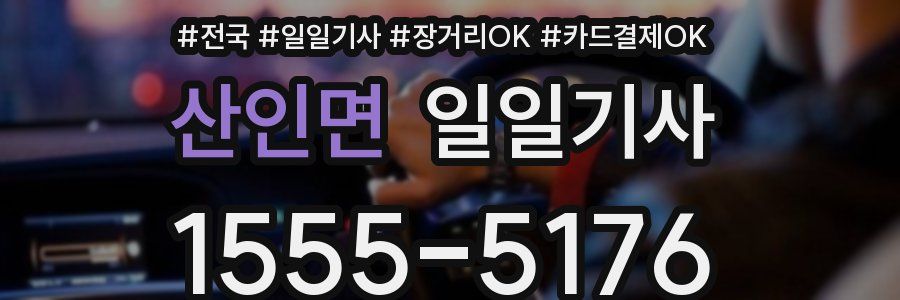 산인면 일일기사