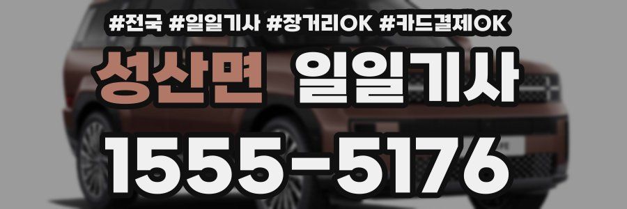 성산면 일일기사