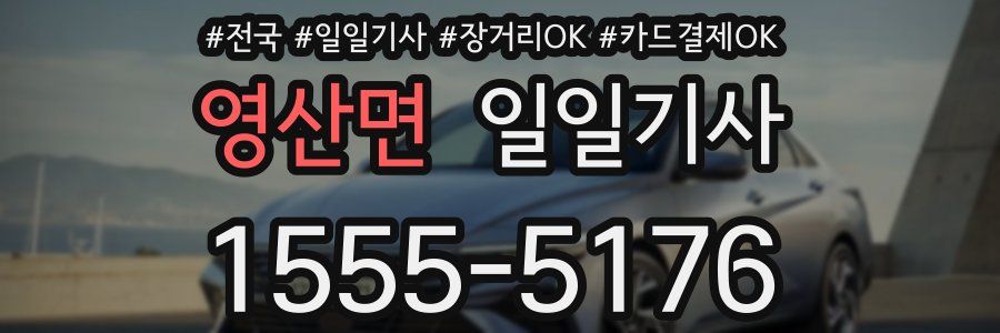 영산면 일일기사