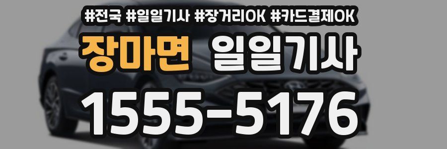 장마면 일일기사