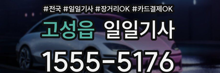 고성읍 일일기사