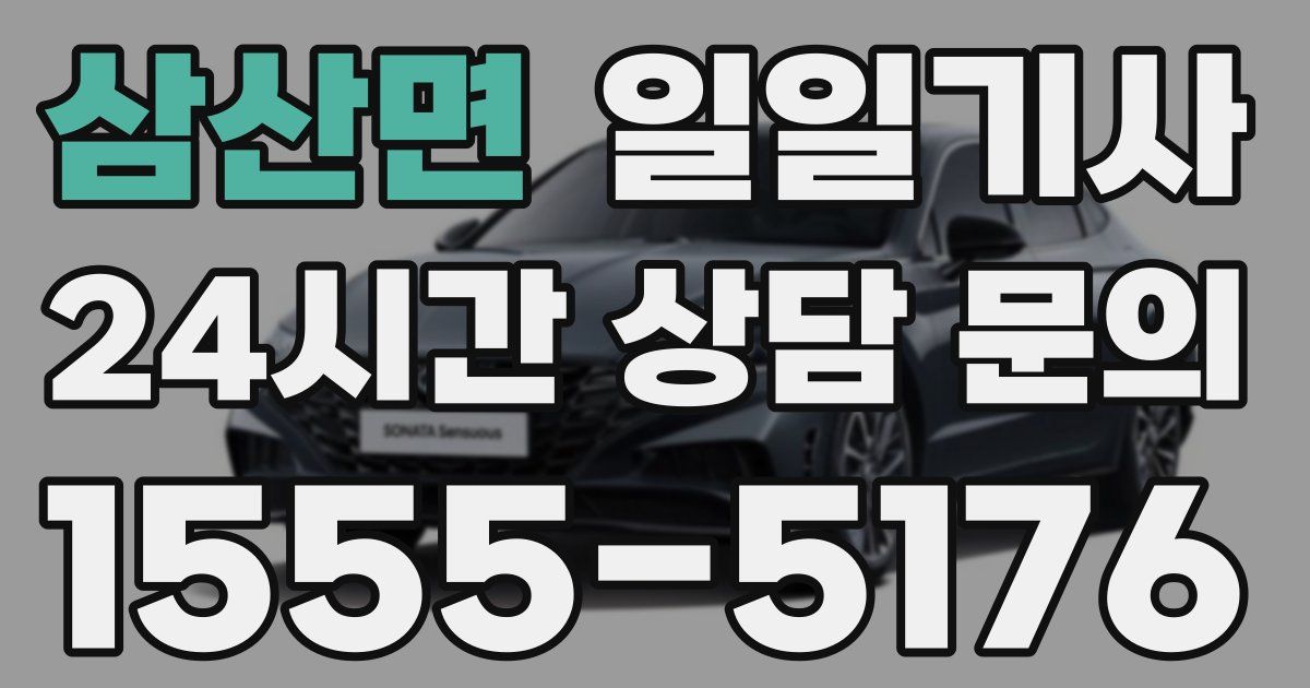 일일대리기사
