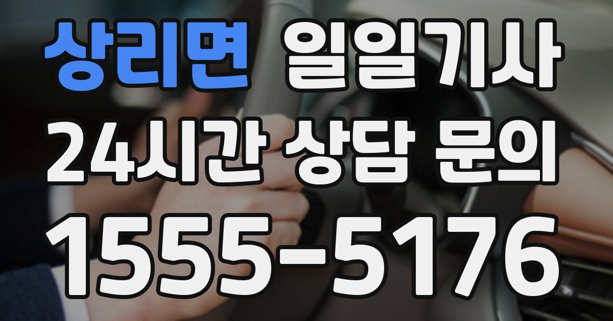 일일대리기사