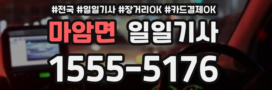 마암면 일일기사