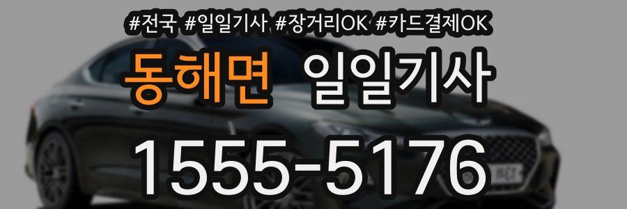 동해면 일일기사