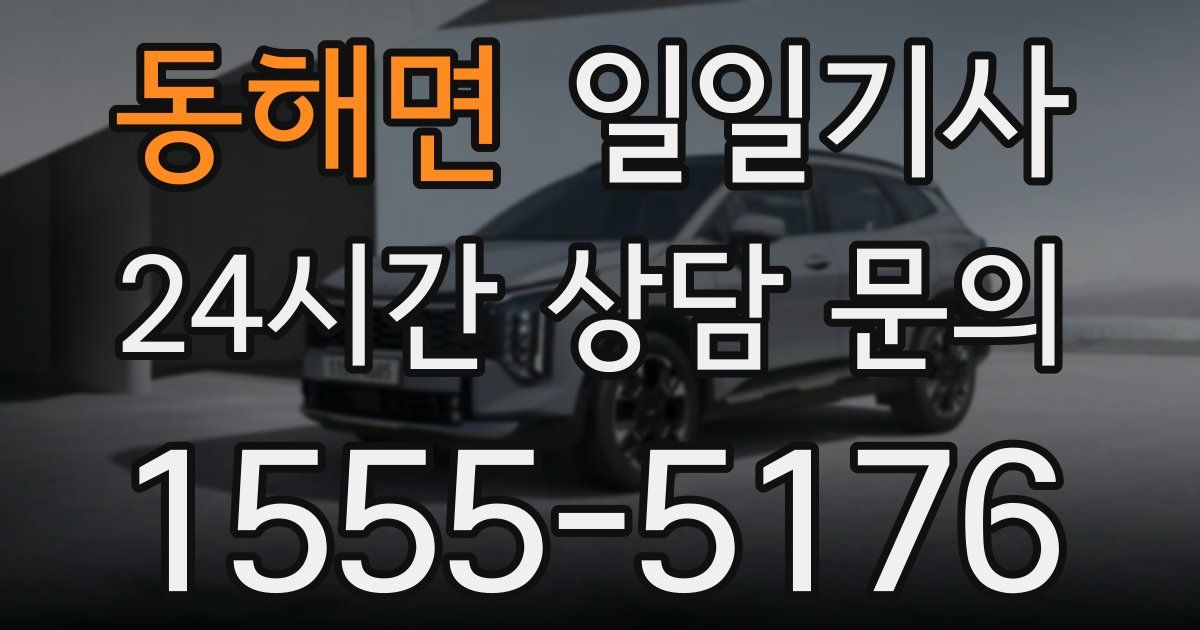 일일대리기사