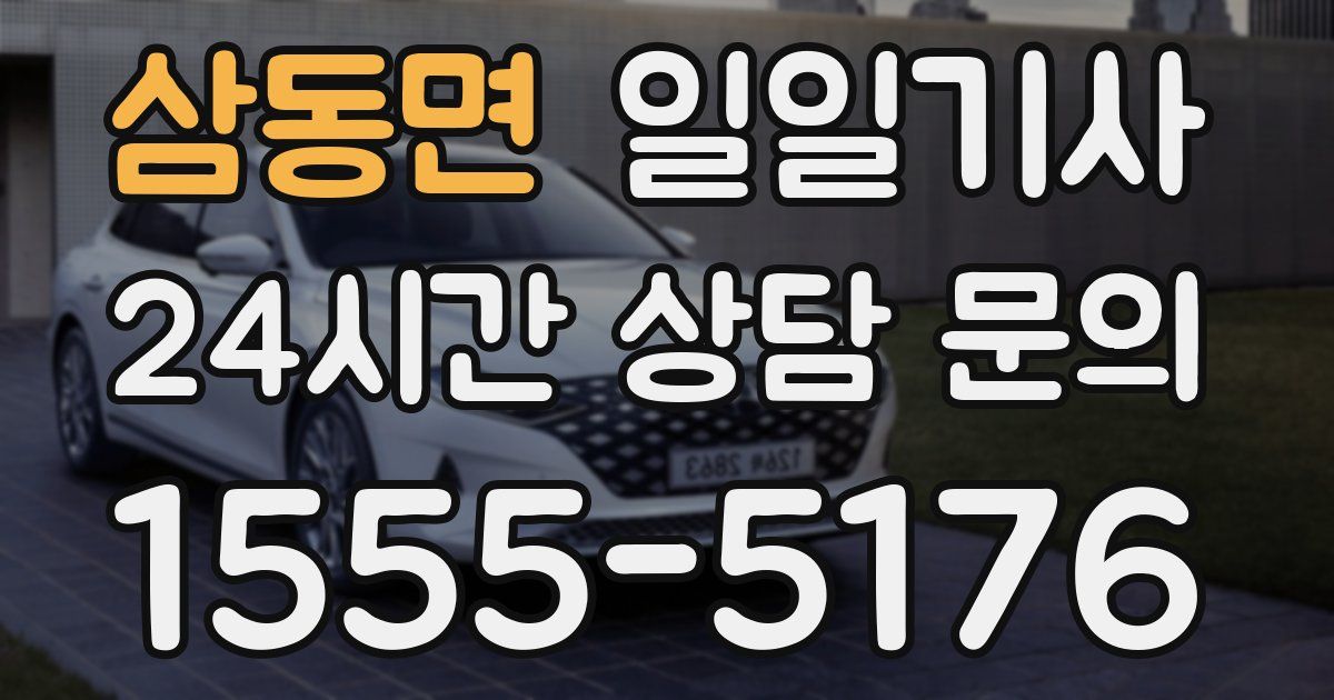 일일대리기사