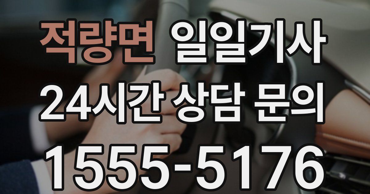 일일대리기사