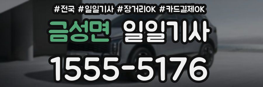 금성면 일일기사