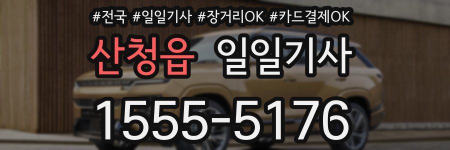 산청읍 일일기사