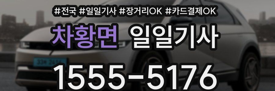 차황면 일일기사