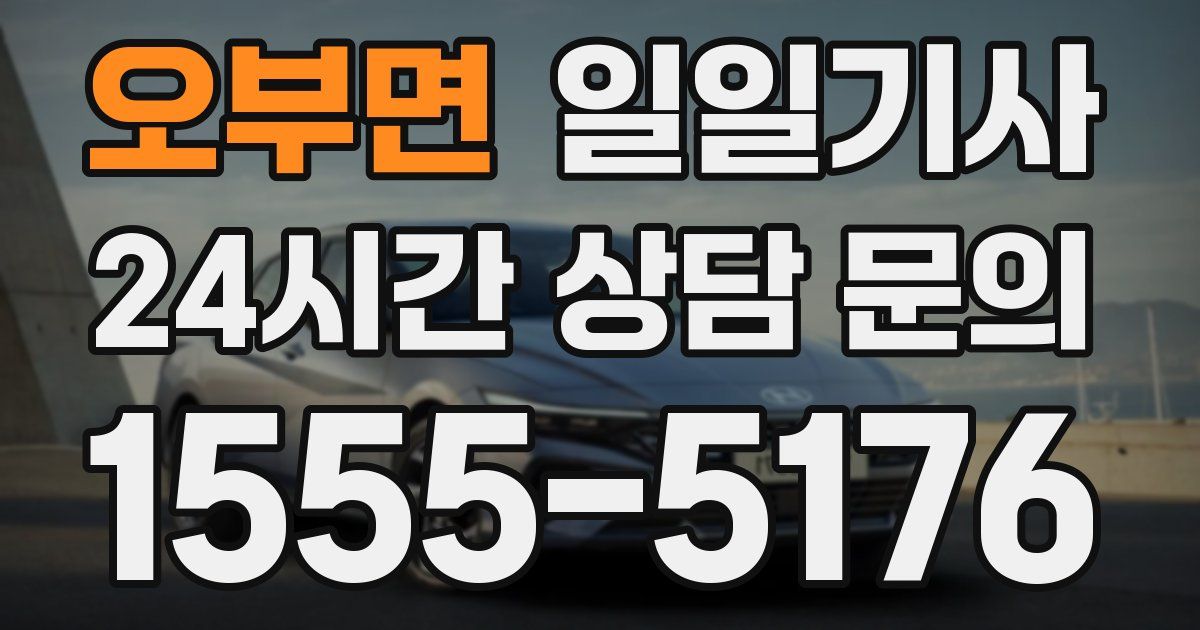 일일대리기사