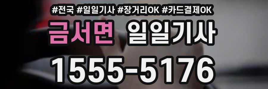 금서면 일일기사