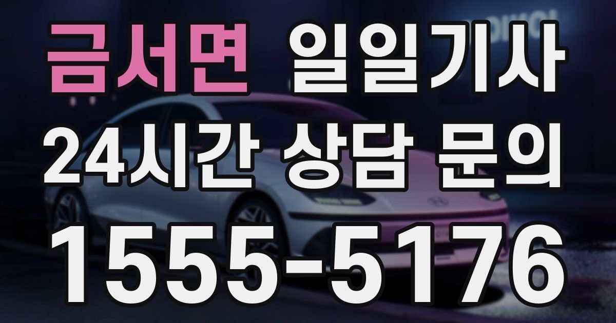 일일대리기사