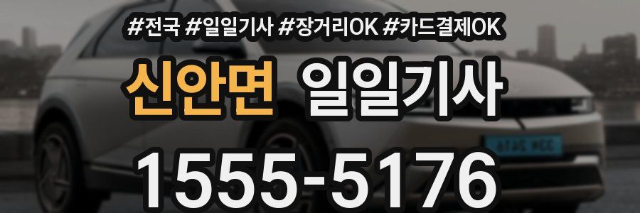 신안면 일일기사