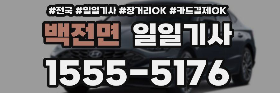 백전면 일일기사