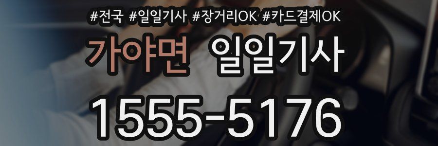 가야면 일일기사