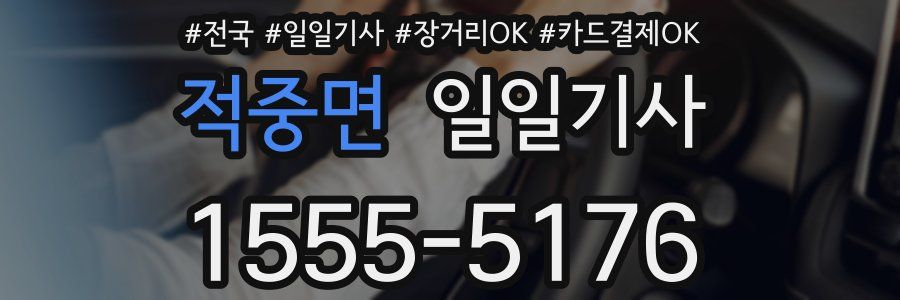 적중면 일일기사