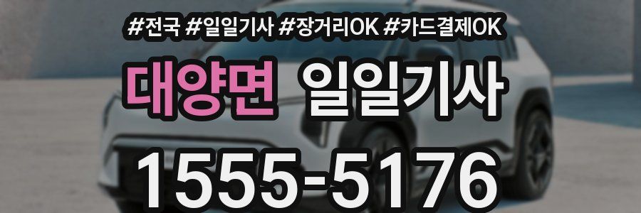 대양면 일일기사