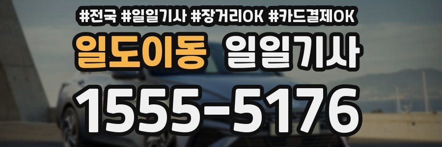 일도이동 일일기사