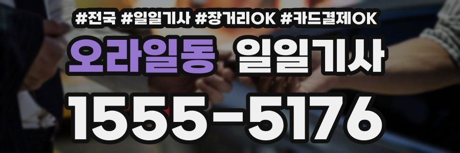 오라일동 일일기사