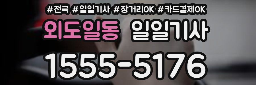 외도일동 일일기사