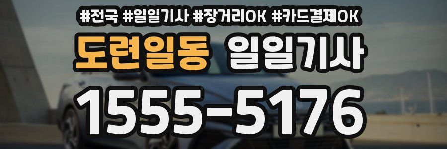 도련일동 일일기사