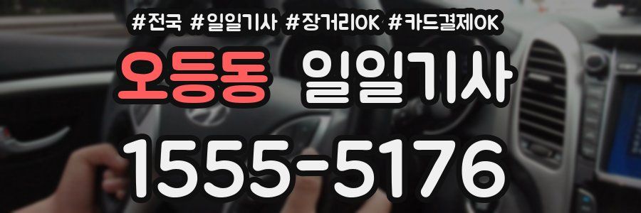 오등동 일일기사