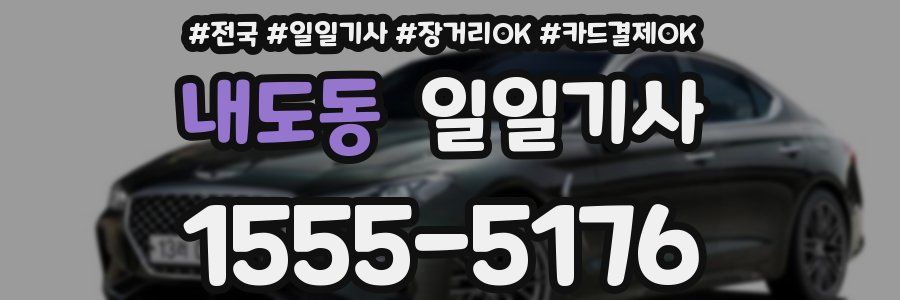 내도동 일일기사