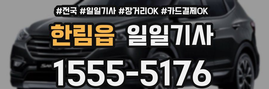 한림읍 일일기사