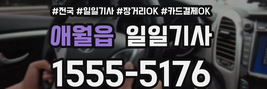 애월읍 일일기사