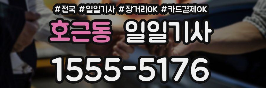 호근동 일일기사