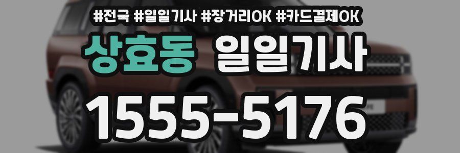 상효동 일일기사