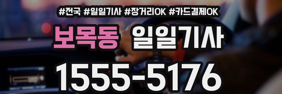 보목동 일일기사