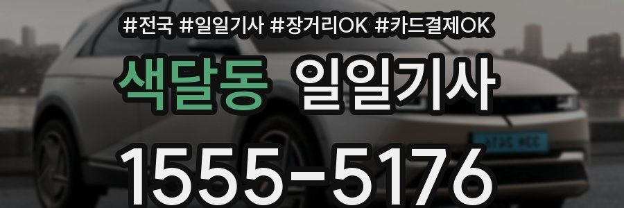 색달동 일일기사