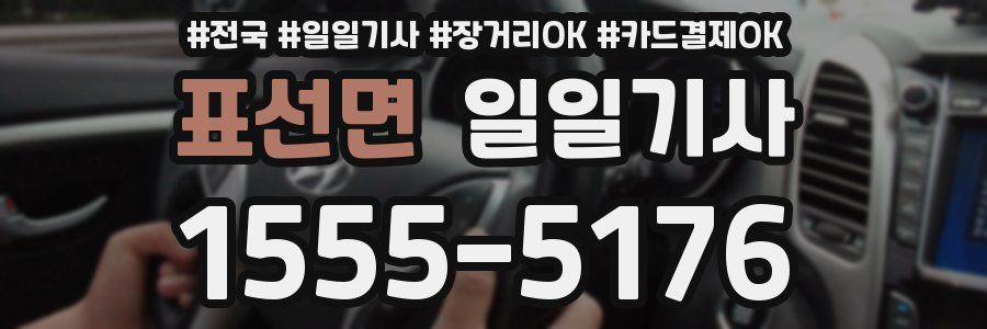 표선면 일일기사