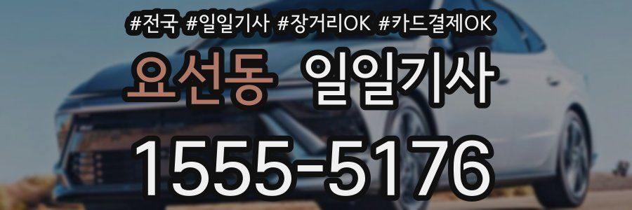 요선동 일일기사