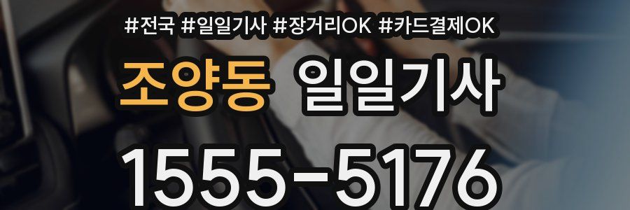 조양동 일일기사