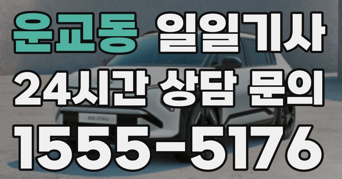 일일대리기사