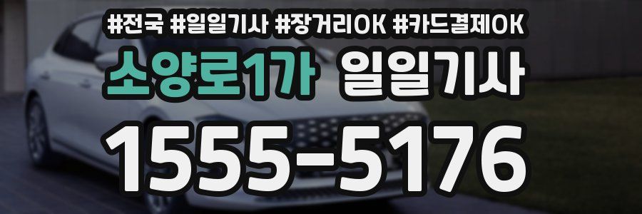 소양로1가 일일기사