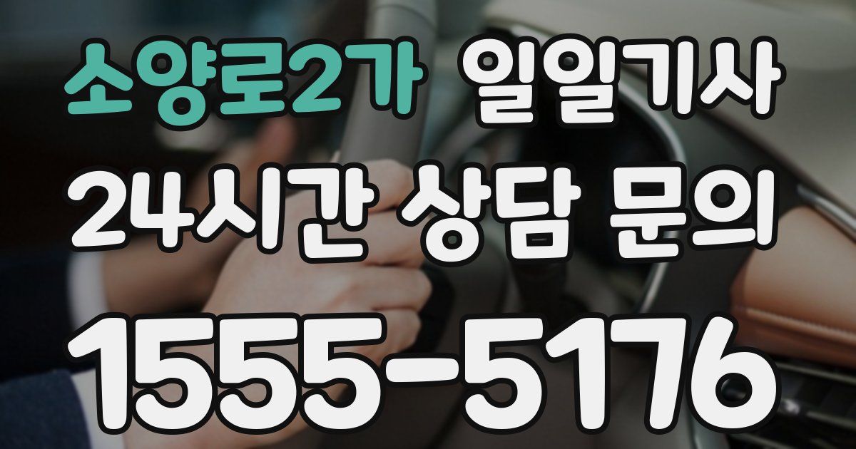 일일대리기사