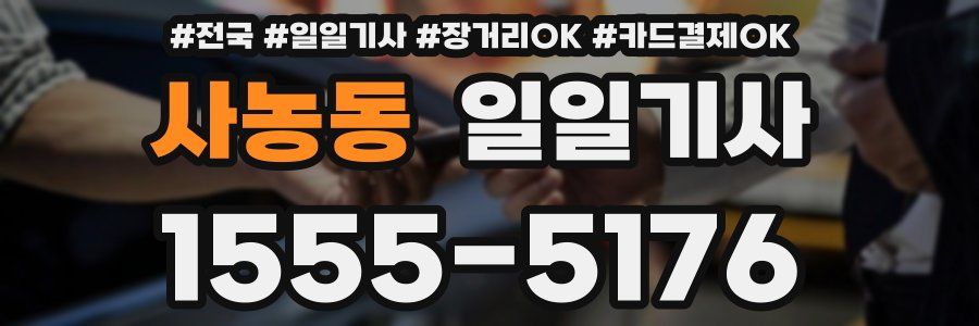 사농동 일일기사