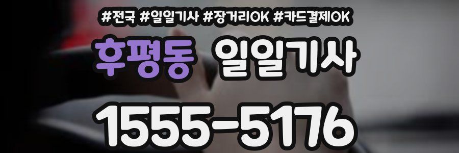 후평동 일일기사