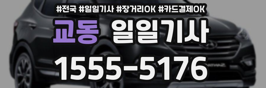 교동 일일기사