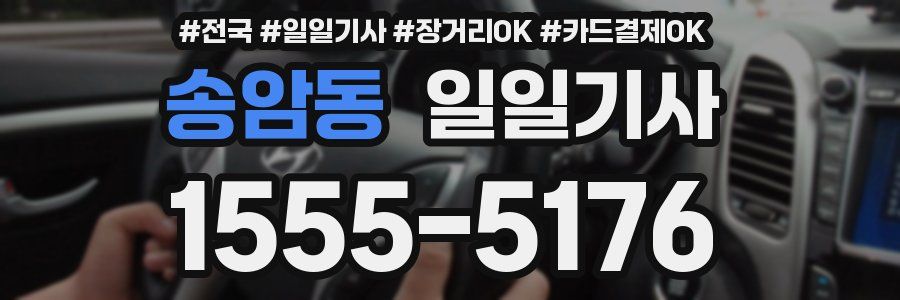 송암동 일일기사