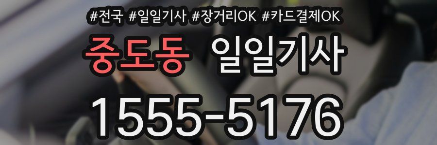 중도동 일일기사